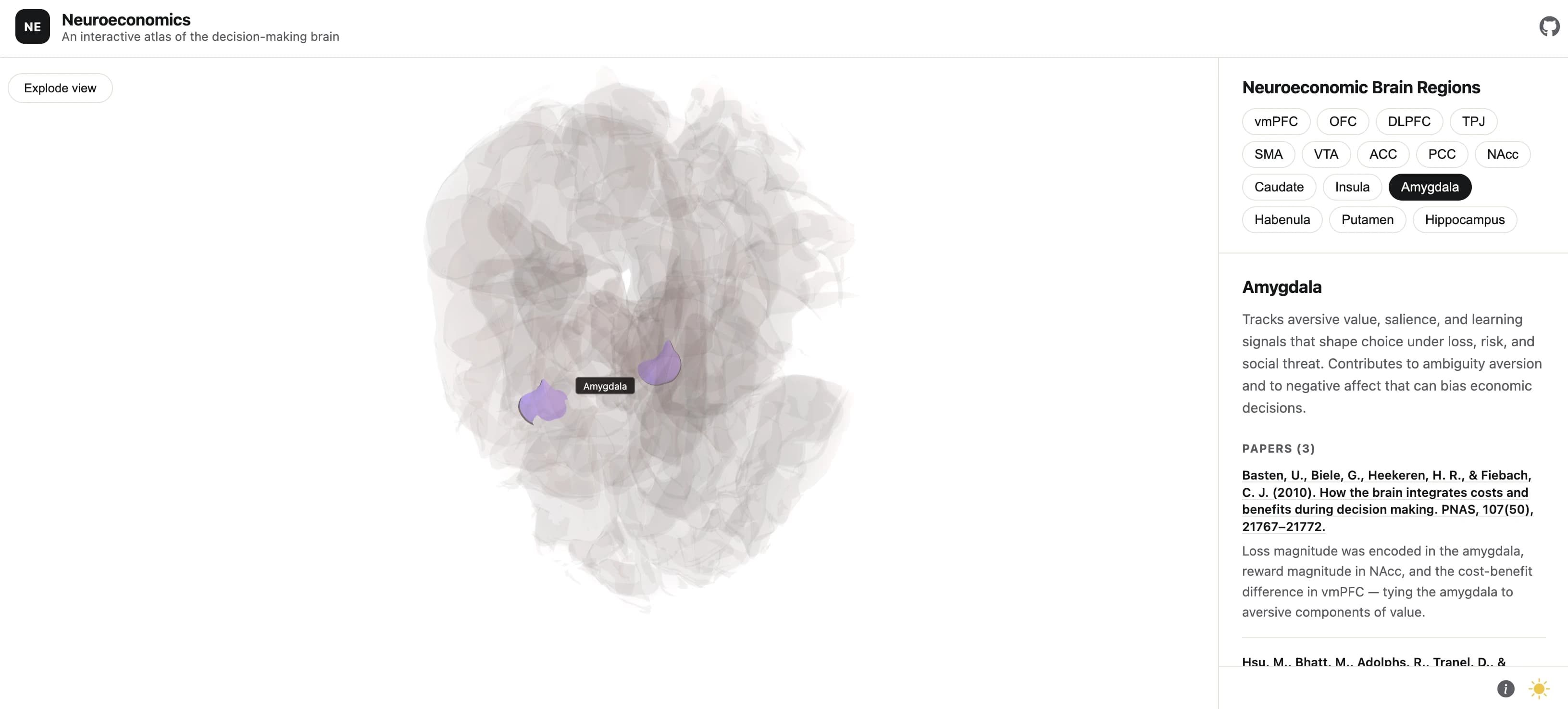 The amygdala and its role in decision making