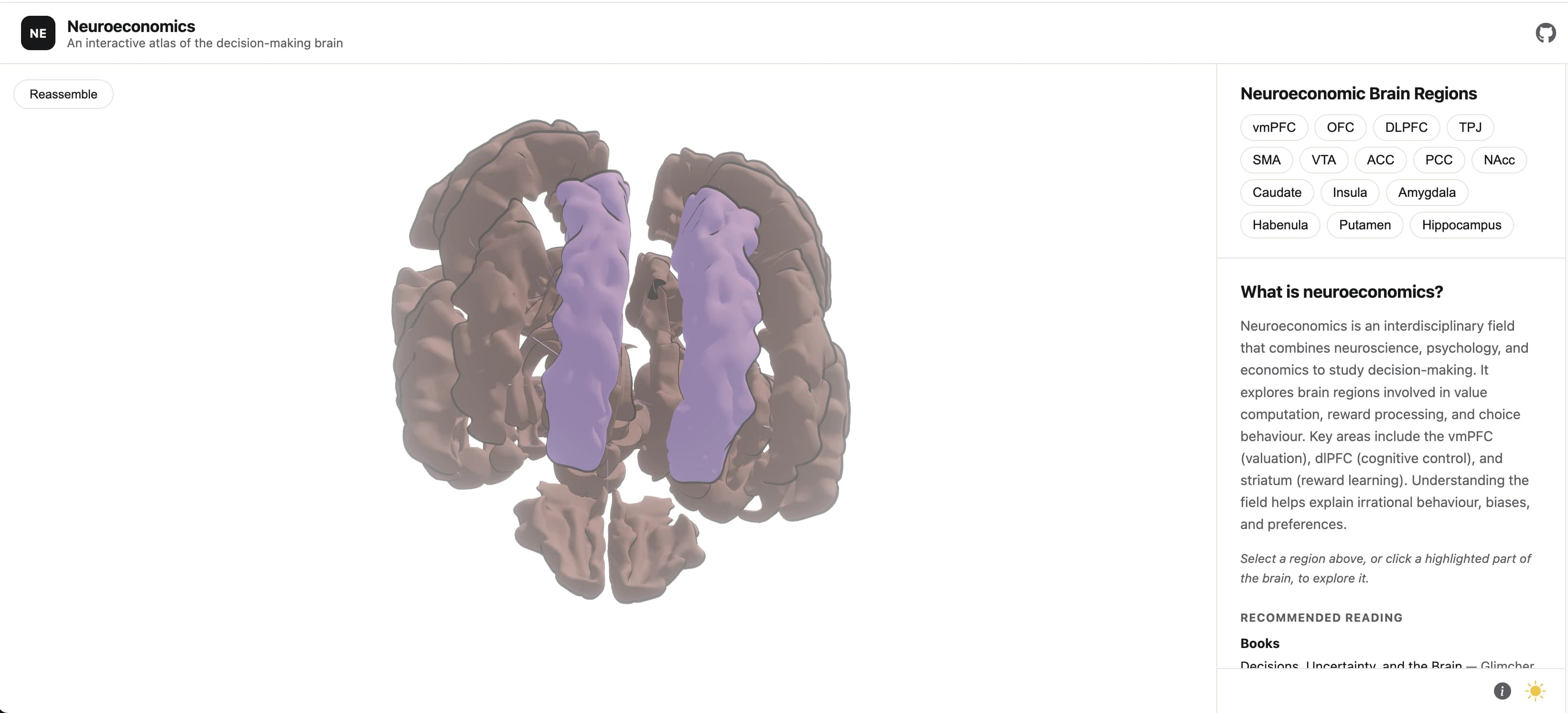 Interactive 3D brain showing decision-making regions